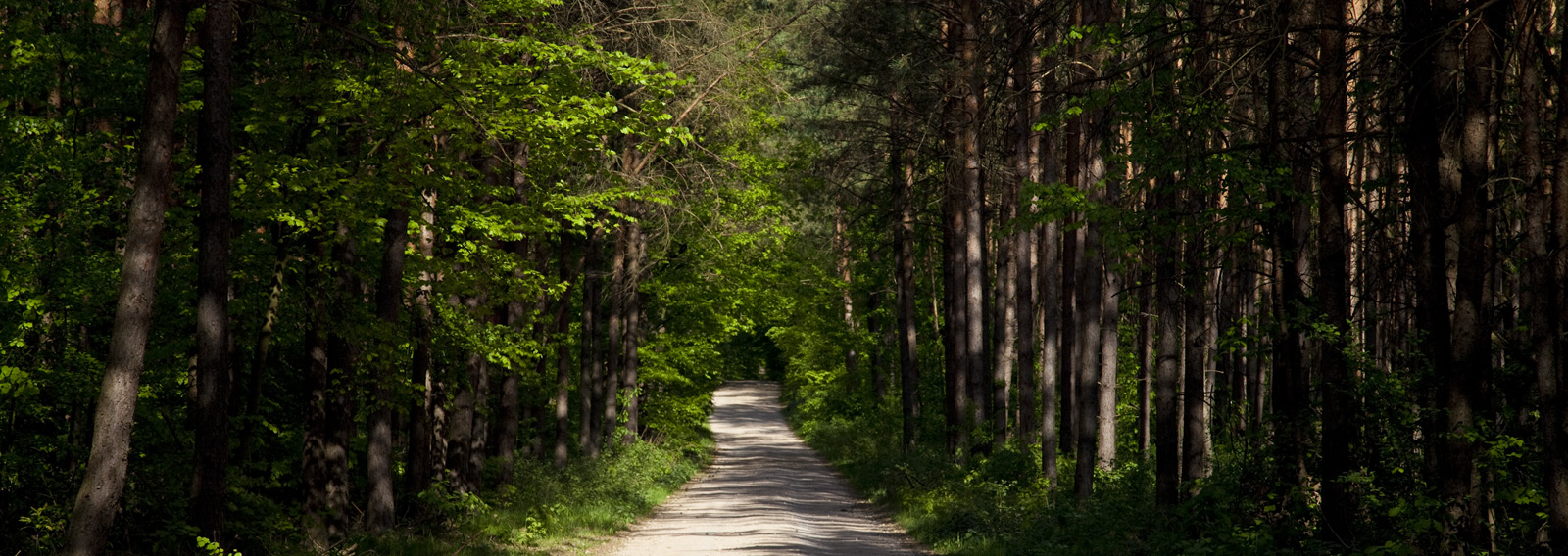 Anreise nach Plettenberg Ferienwohnungen